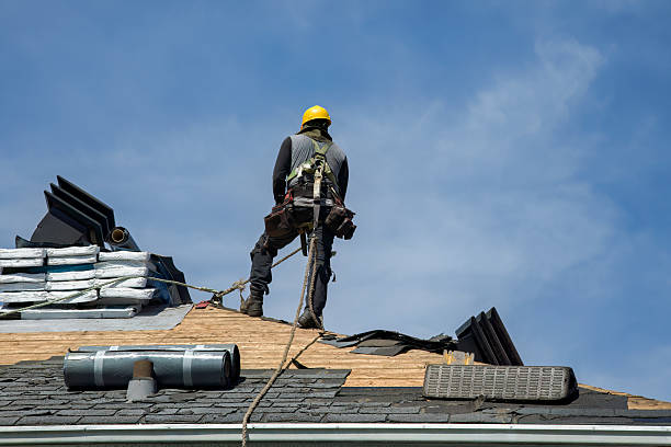 Professional Roofing technician working in Dunmor, KY